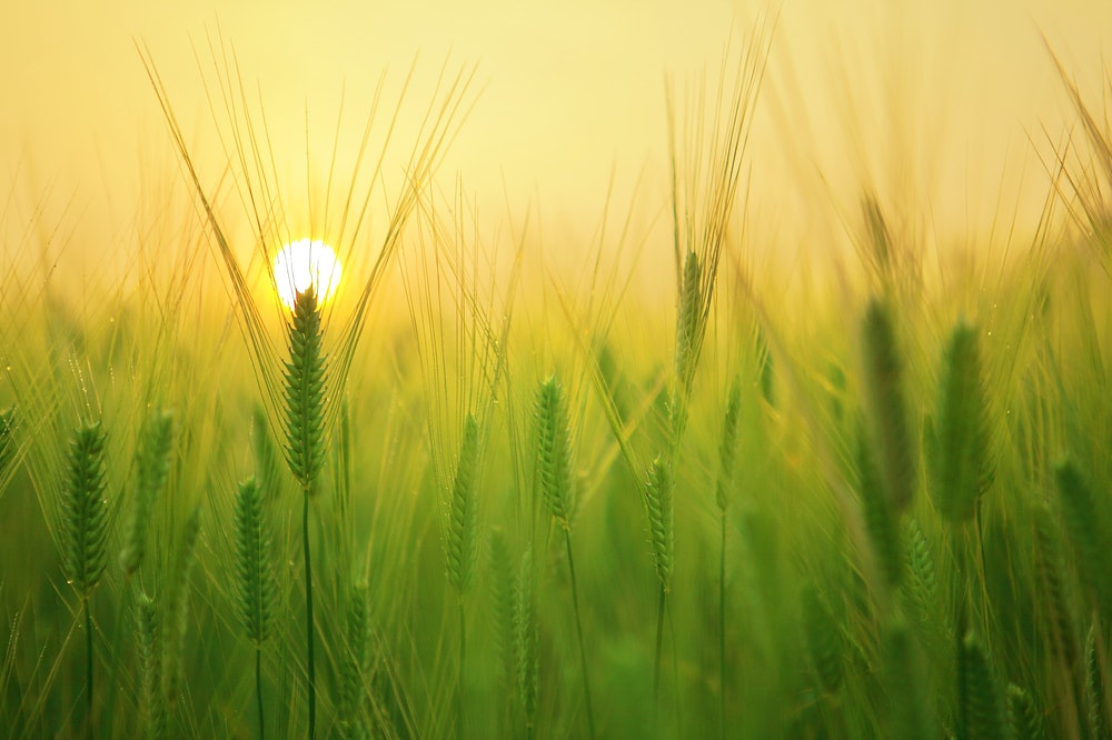 De juiste personen in agri vinden